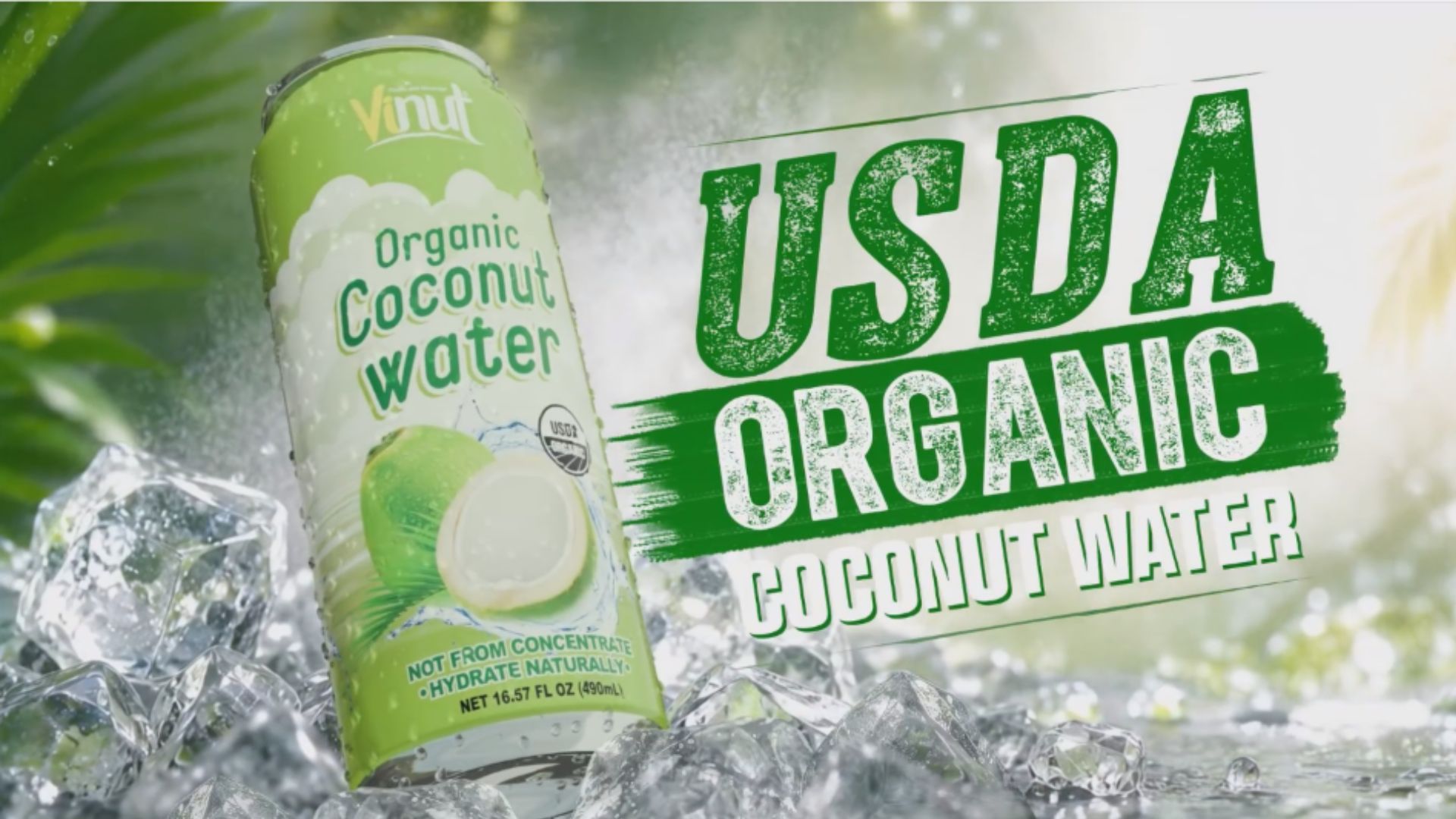 Coconut Water Certificate