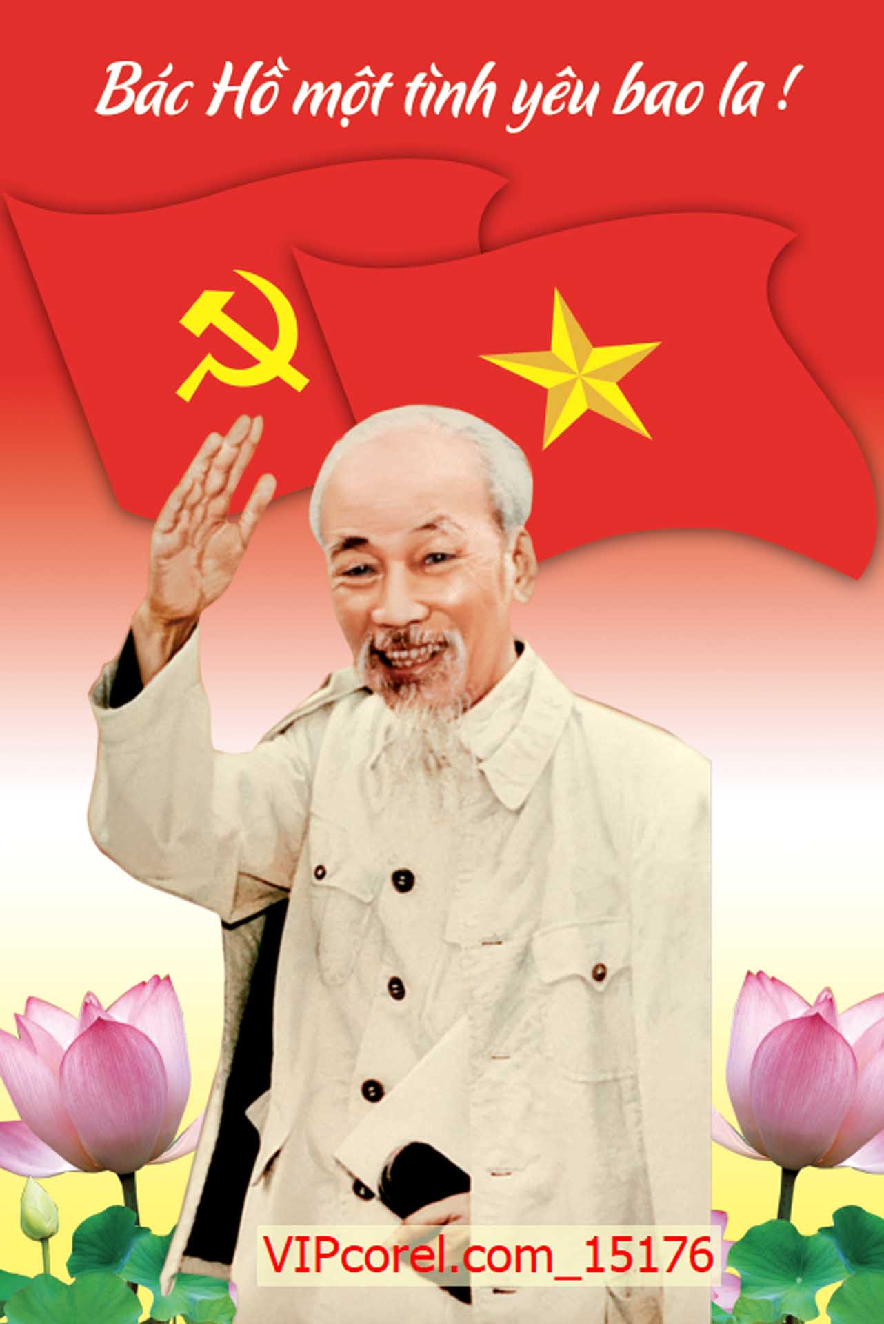 VIPcorel.com_15176.jpg