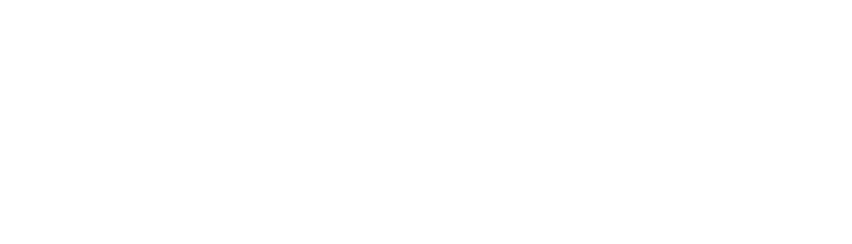Assett Group Services