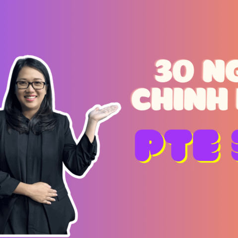 Khoá học pte 30, 36, 42