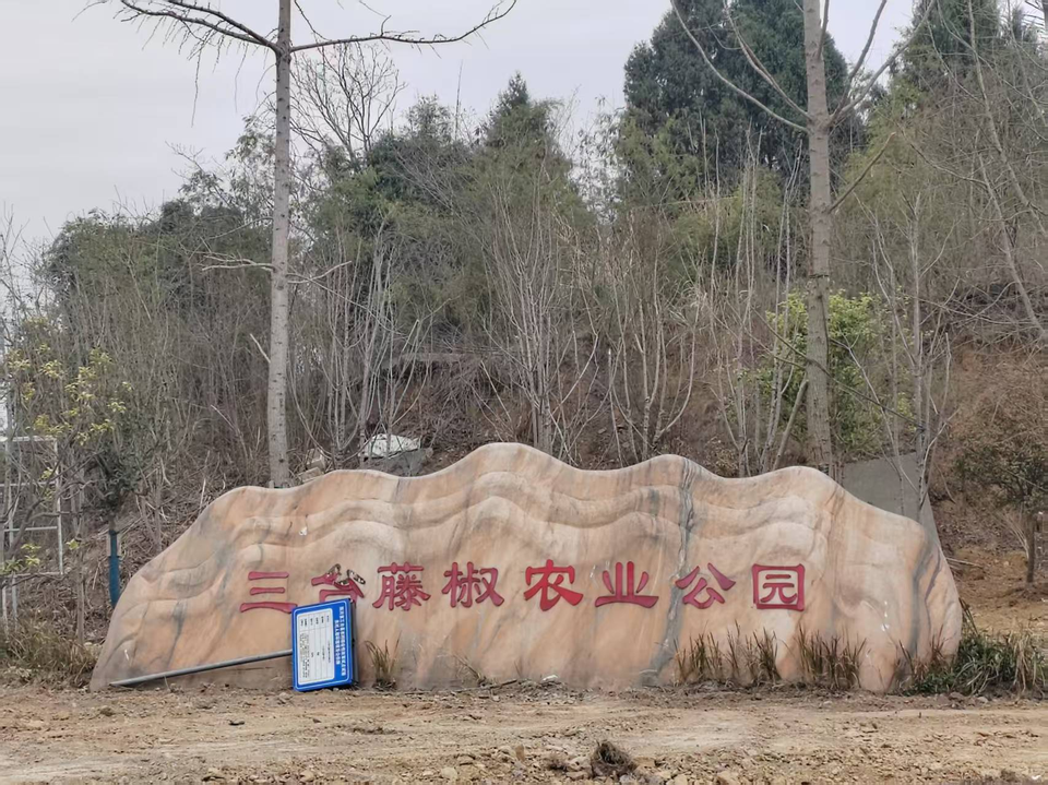 三台图片1